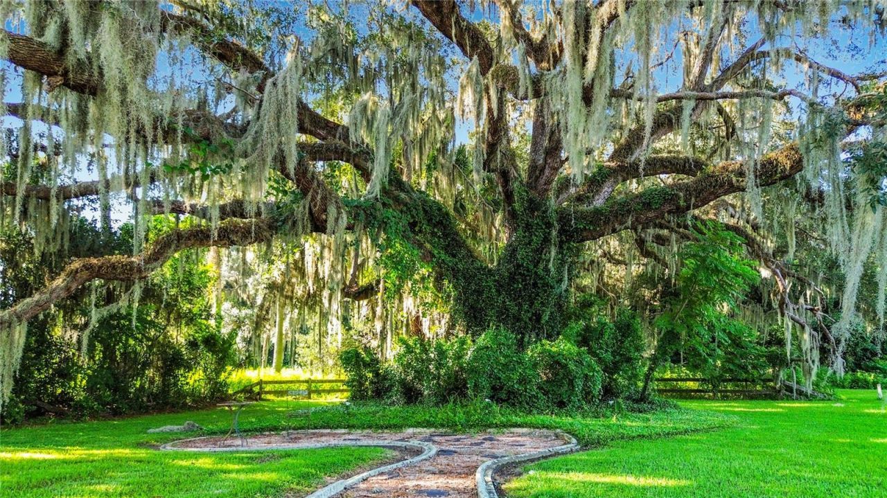 1281 N Timucuan Trail, Inverness, FL 34453 Photo