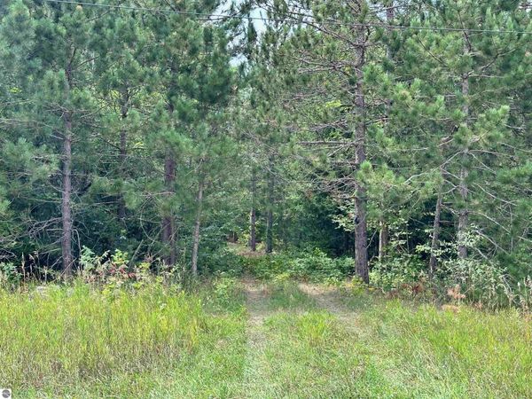 7658 Cedar River Road, Mancelona, MI 49659