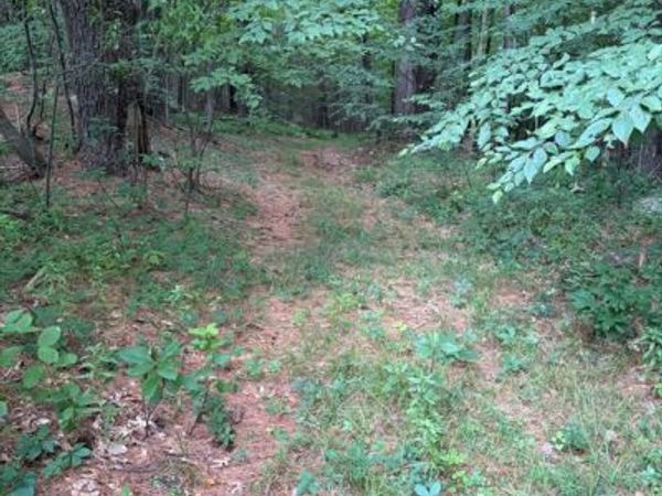 Lot 12 Lebanon Hill Rd, Southbridge, MA 01550