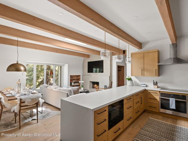731 E Durant Avenue, Unit 17, Aspen, CO 81611