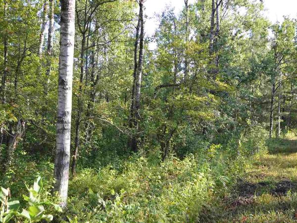 0 Cedarwood Court, Mancelona, MI 49795