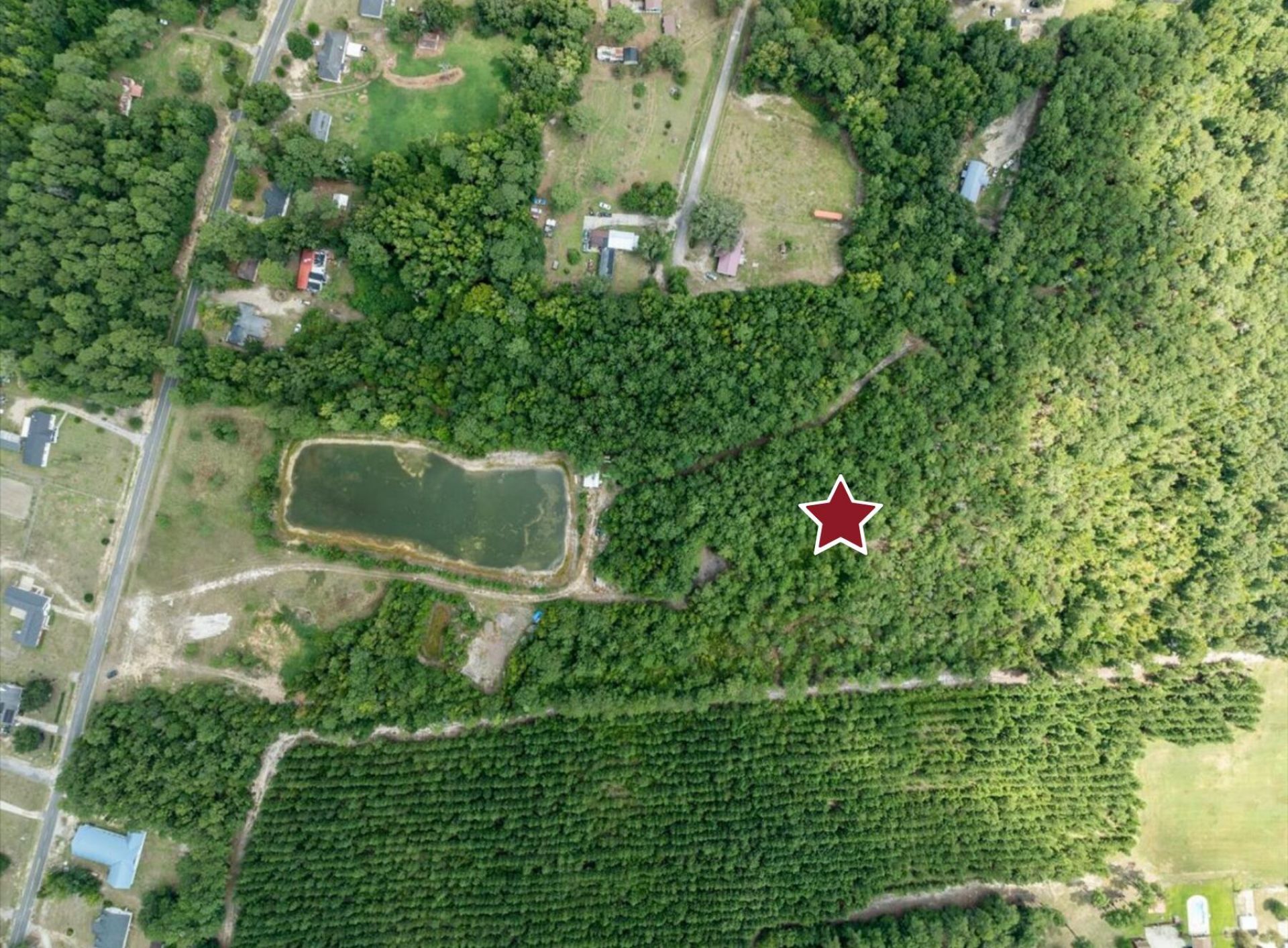355 Mcclam Road Photo 10