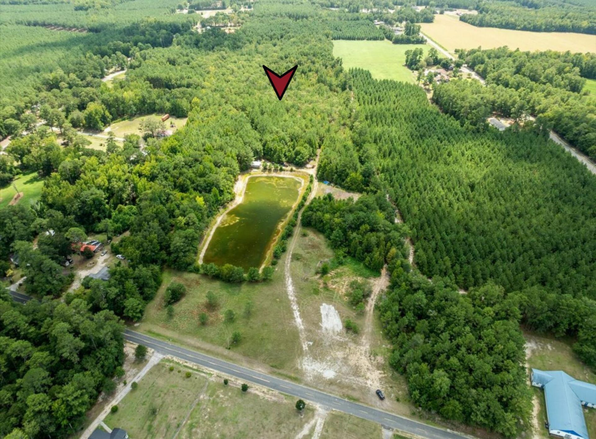 355 Mcclam Road Photo 5