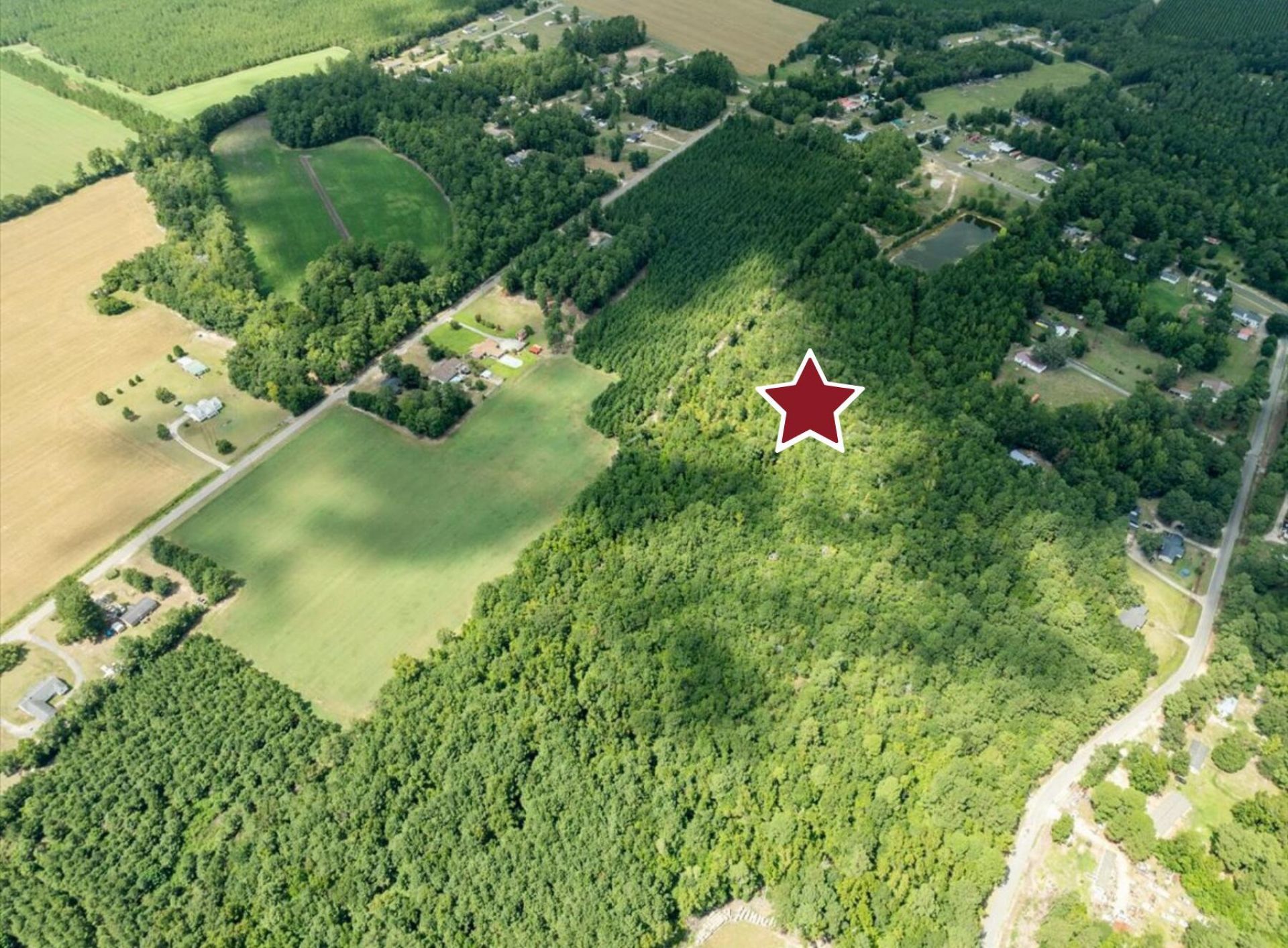 355 Mcclam Road Photo 8