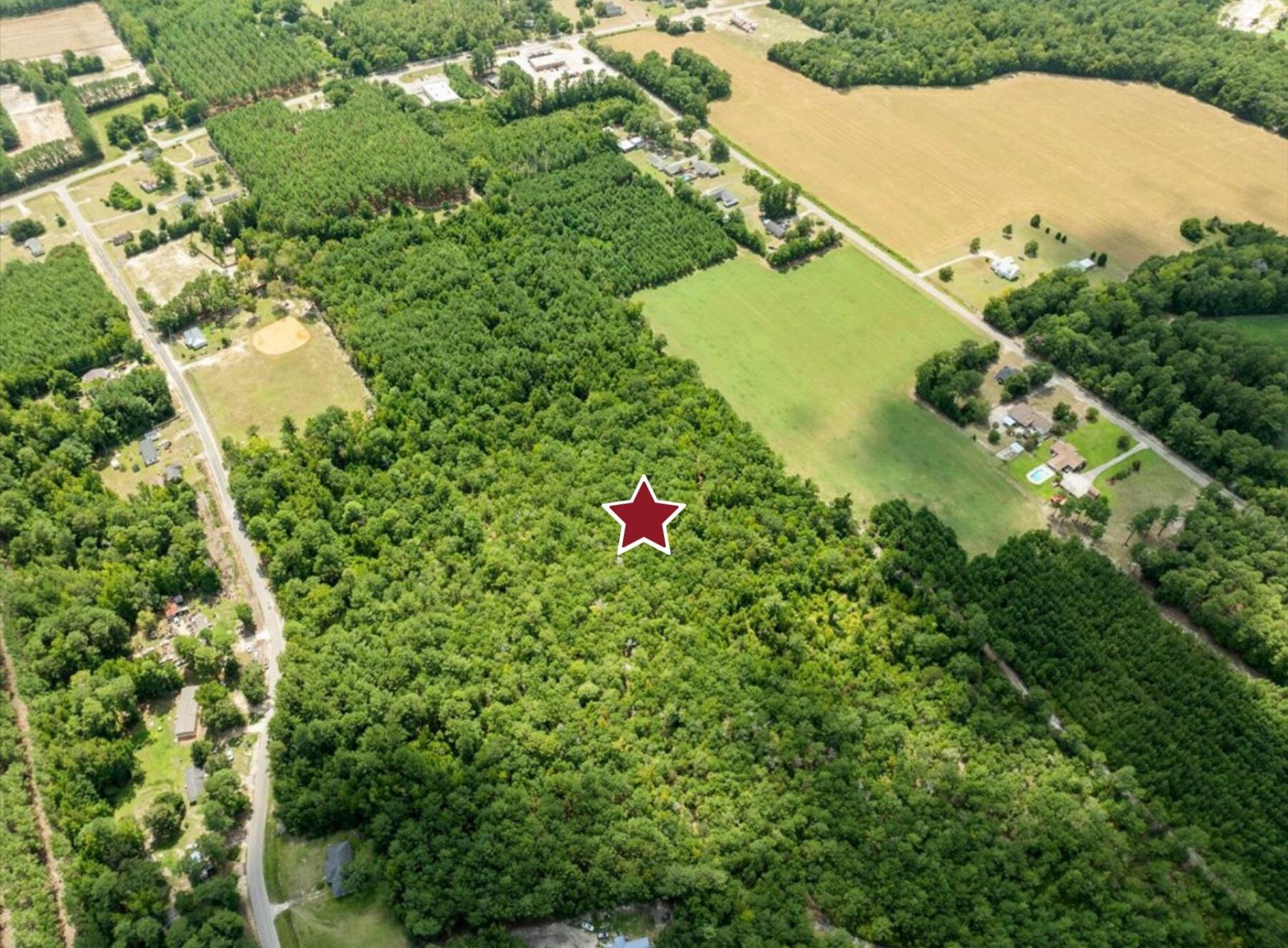 355 Mcclam Road Photo 9