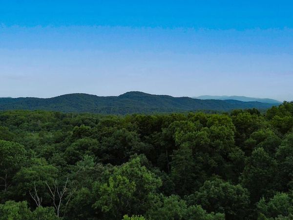 Lot 6 Allaire Lane, Mineral Bluff, GA 30559