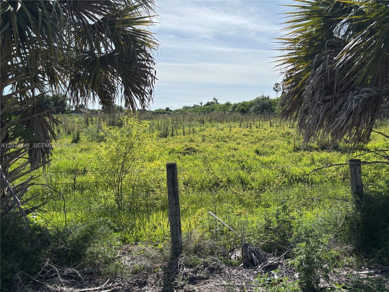 375 & 311 County Road 720 , Clewiston, FL 33440 Photo