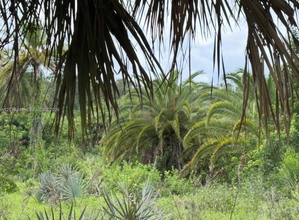 375 & 311 County Road 720 , Clewiston, FL 33440 Photo
