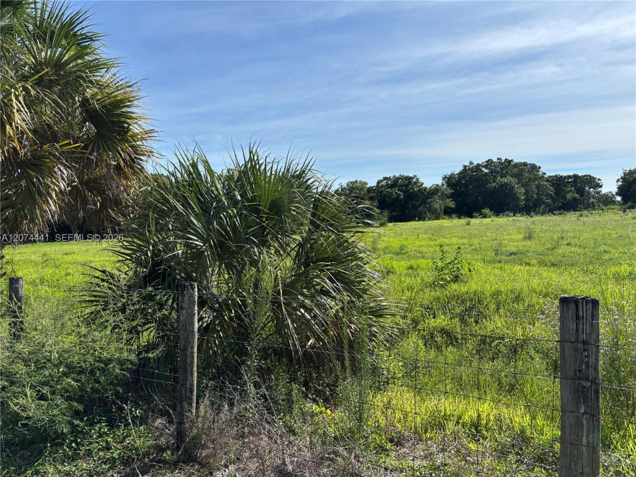 375 & 311 County Road 720 , Clewiston, FL 33440 Photo