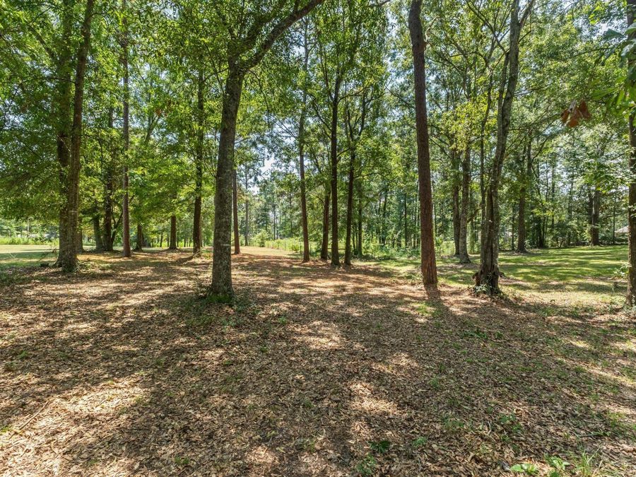 Property Image 68