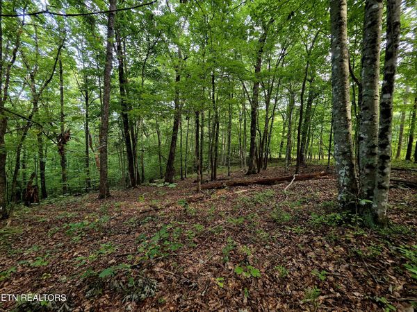 Bow Rd, Monterey, TN 38574