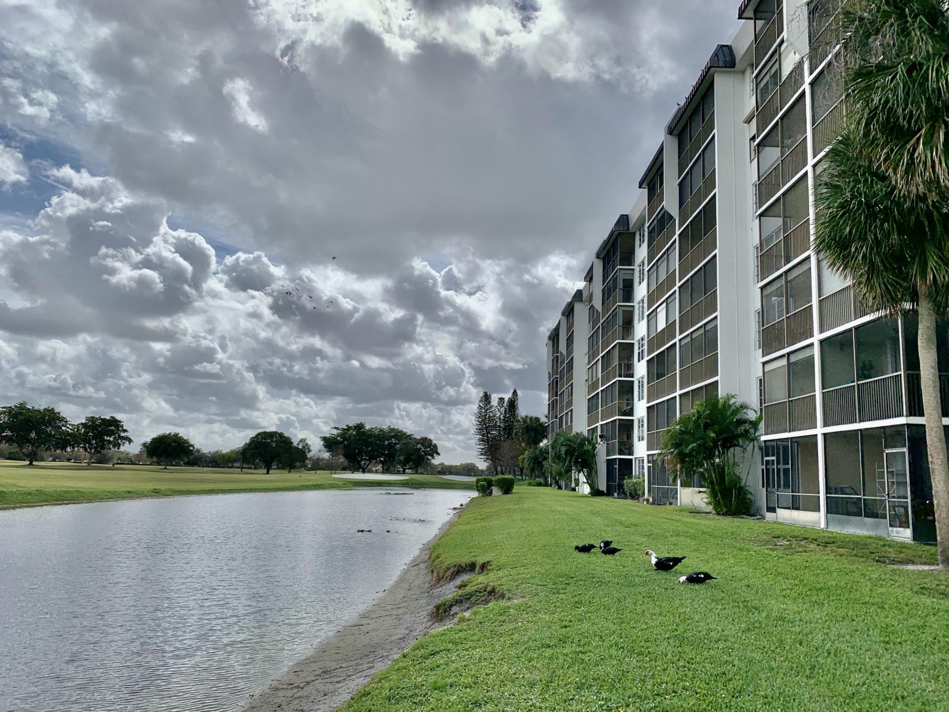 3100 W Rolling Hills Circle, Unit 309, Davie, FL 33328 Photo