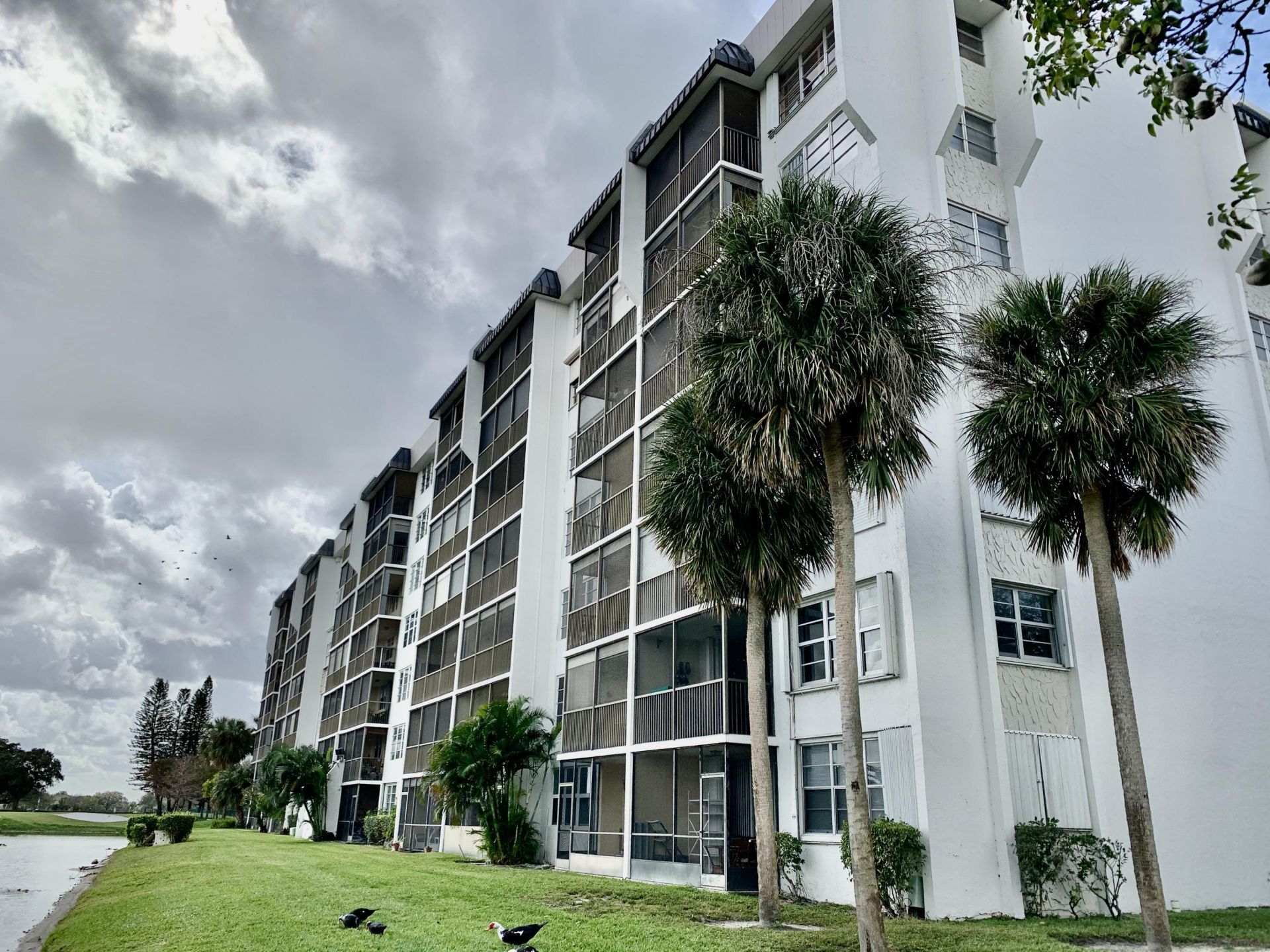 3100 W Rolling Hills Circle, Unit 309, Davie, FL 33328 Photo