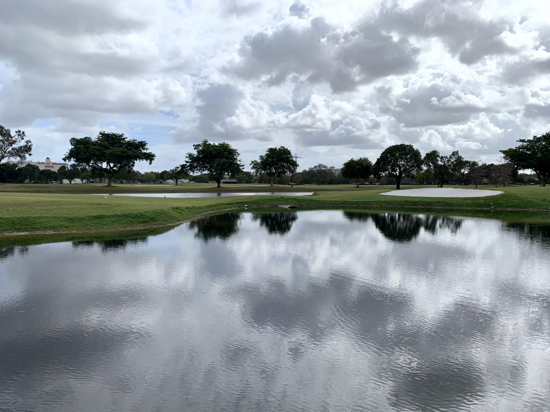 3100 W Rolling Hills Circle, Unit 309, Davie, FL 33328 Photo