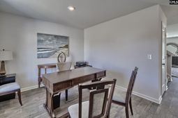 651 Marbled Teal Lane photo 4