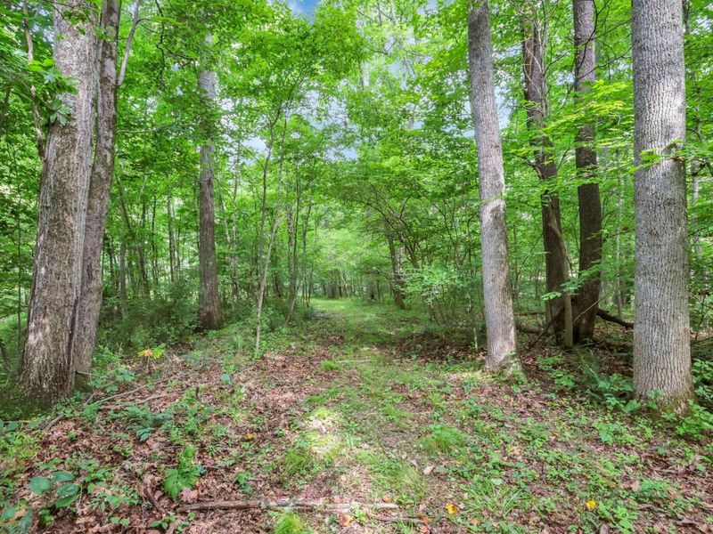 00 Maysville-Williams Road, Unit LOT 5, Logan, OH 43138 Photo 3