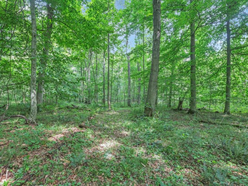 00 Maysville-Williams Road, Unit LOT 5, Logan, OH 43138 Photo 6