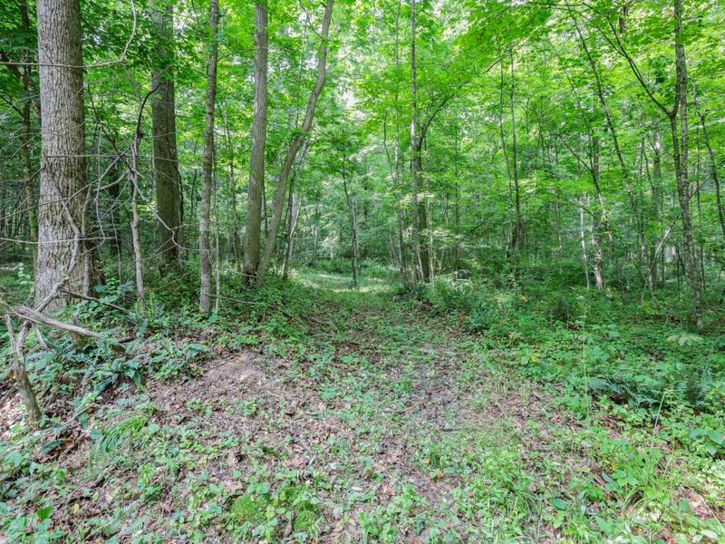 00 Maysville-Williams Road, Unit LOT 5, Logan, OH 43138 Photo 7