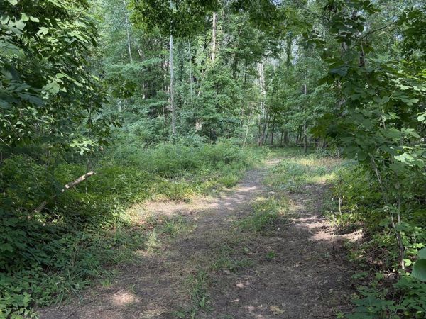 589 48th Street, Grand Junction, MI 49056
