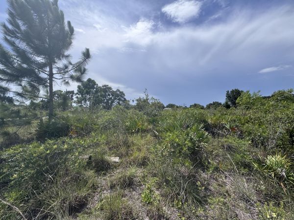 20589 NW 254TH Street, Okeechobee, FL 34972