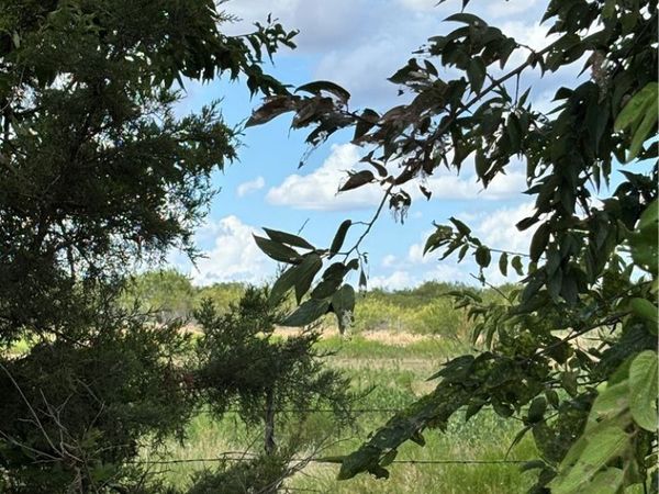 TBD N Lone Star Parkway , Moody, TX 76557