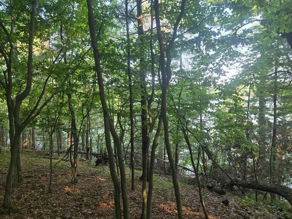 Lot 2 75th Ave, Chippewa Falls, WI 54729