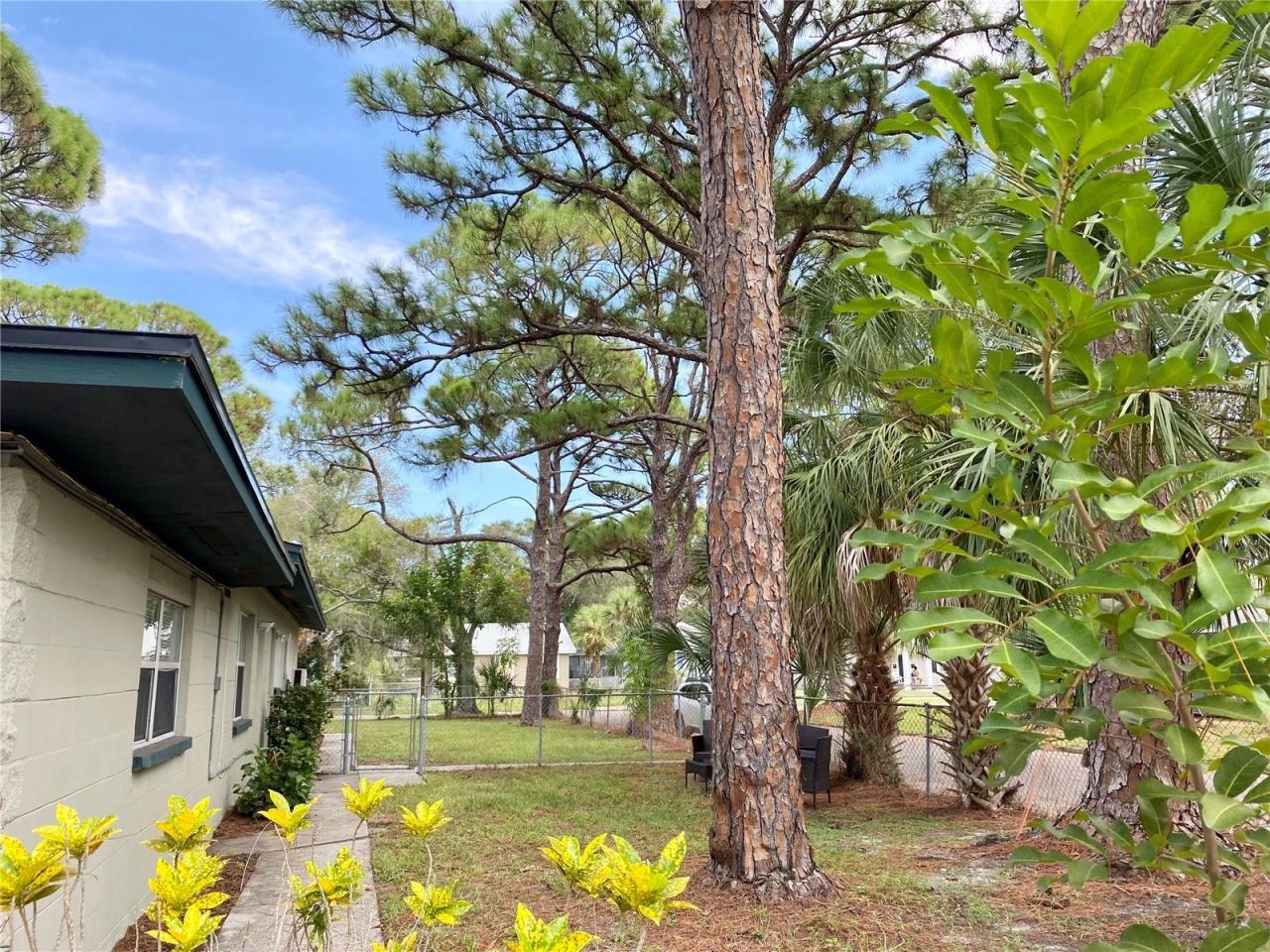 2343 8th Street S, Saint Petersburg, FL 33705 Photo