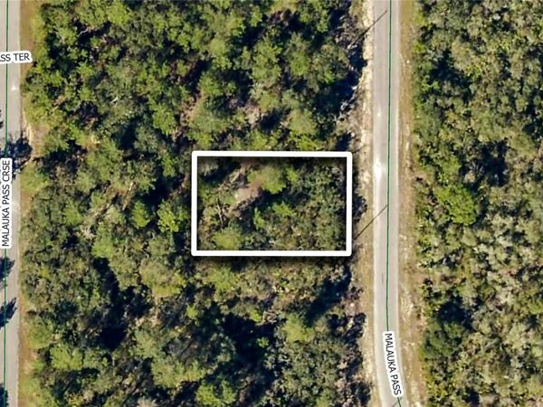 TBD MALAUKA PASS , OCKLAWAHA, FL 32179