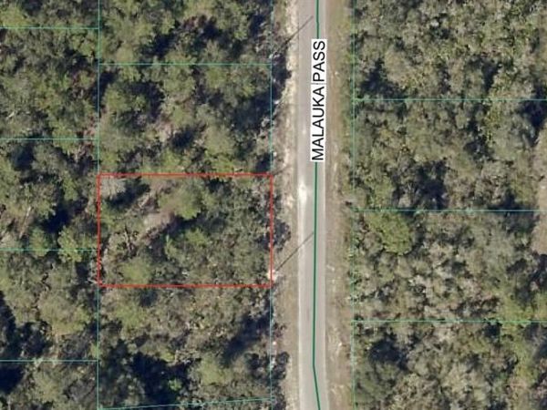 TBD MALAUKA PASS , OCKLAWAHA, FL 32179