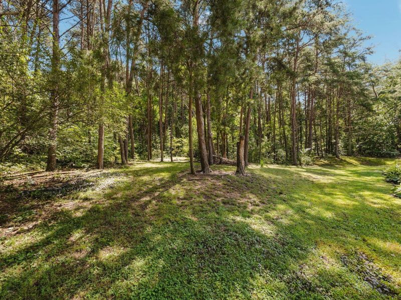 1725 Jackson Township Road 333 SE, Junction City, OH 43748 Photo 39