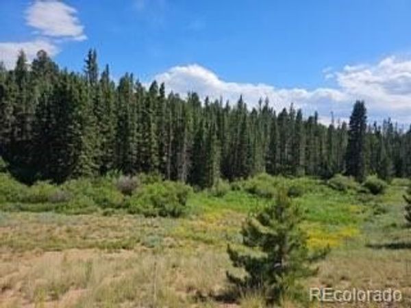 1164 Arapahoe Creek Trail , Florissant, CO 80816