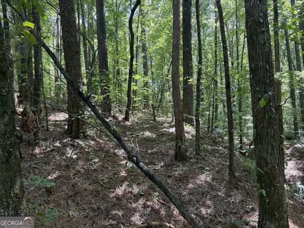 0 Center Point Road, Carrollton, GA 30117