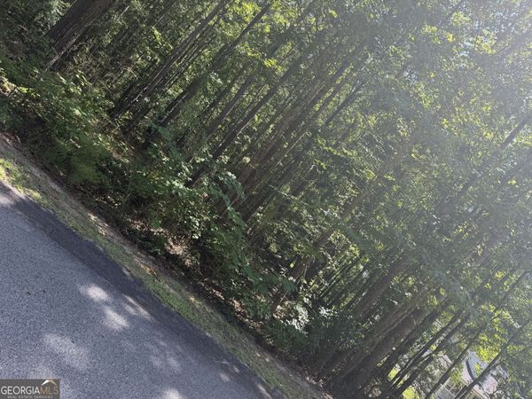 0 Opal Street, Luthersville, GA 30251