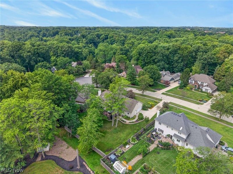 8753 Treetop Trail, Broadview Heights, OH 44147 Photo 5