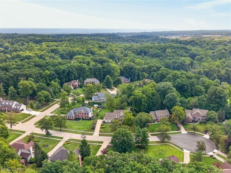 8753 Treetop Trail, Broadview Heights, OH 44147 Photo 6