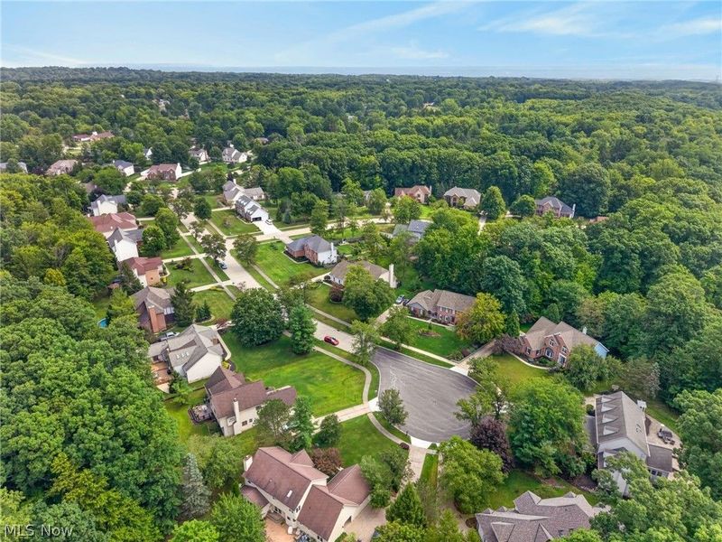 8753 Treetop Trail, Broadview Heights, OH 44147 Photo 7