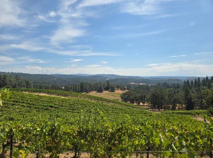 4180 Pleasant Valley Road, Placerville, CA 95667 Photo