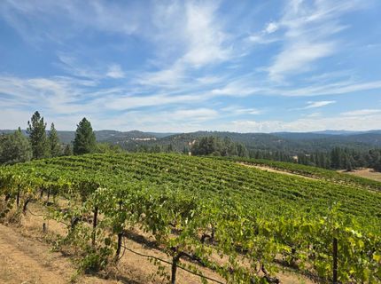 4180 Pleasant Valley Road, Placerville, CA 95667 Photo
