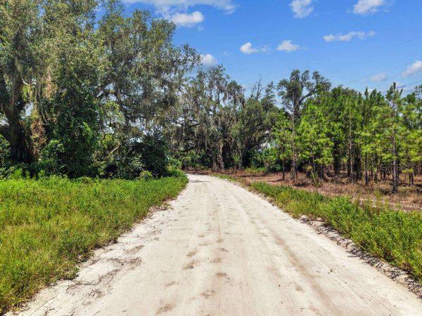 1083 NW Turlington Lane , Mayo, FL 32066