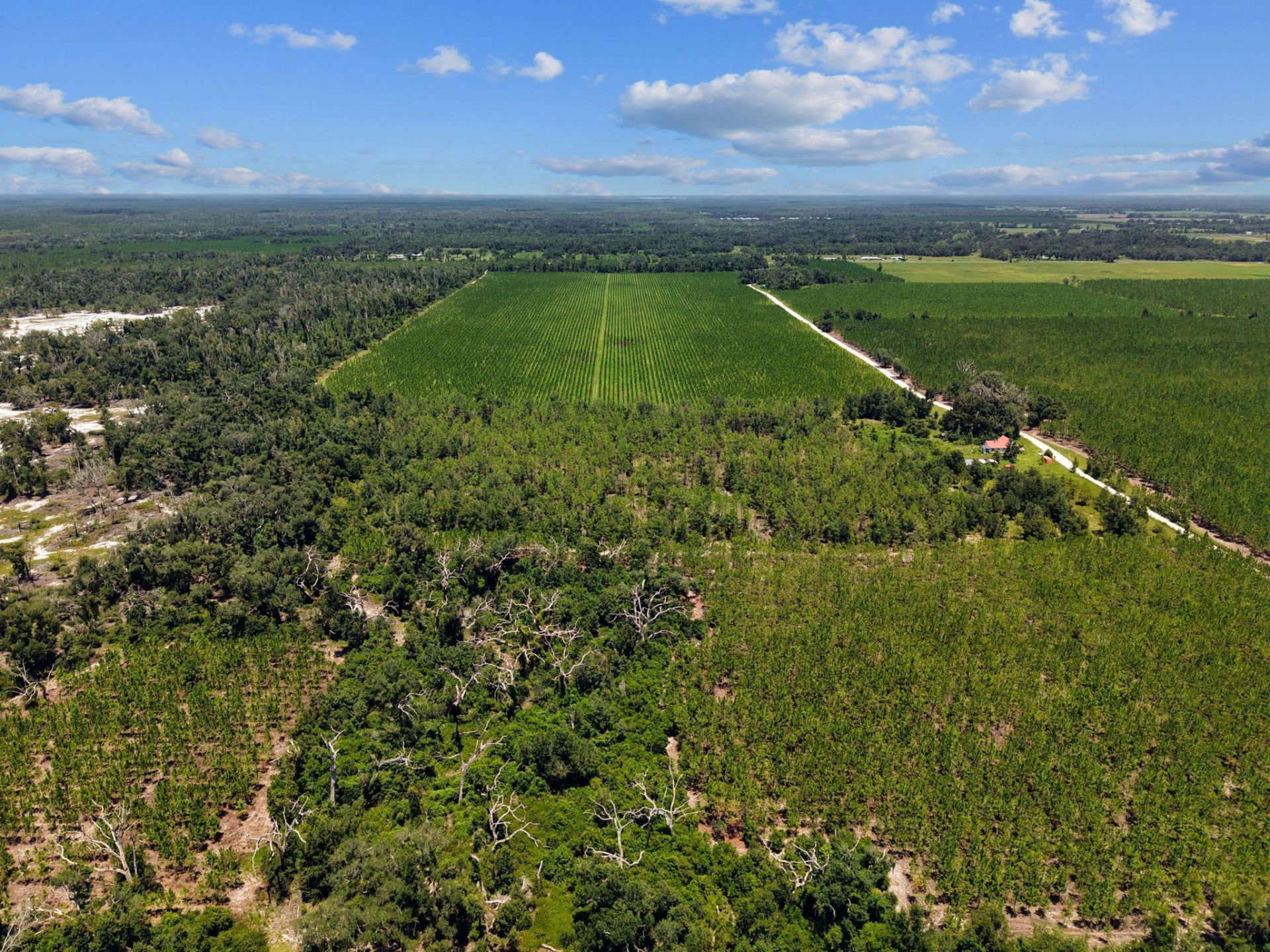 1083 NW Turlington Lane , Mayo, FL 32066 Photo
