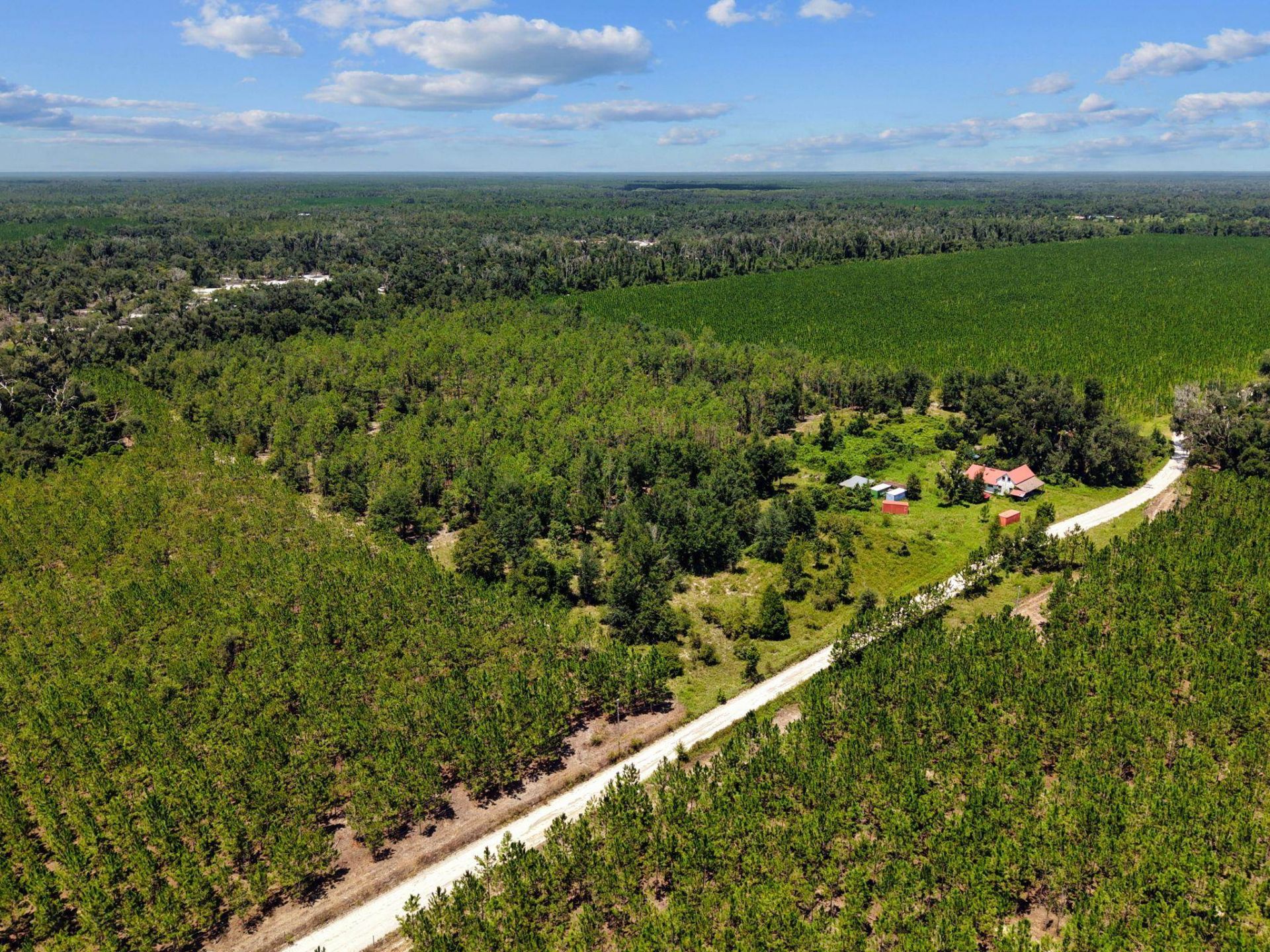 1083 NW Turlington Lane , Mayo, FL 32066 Photo