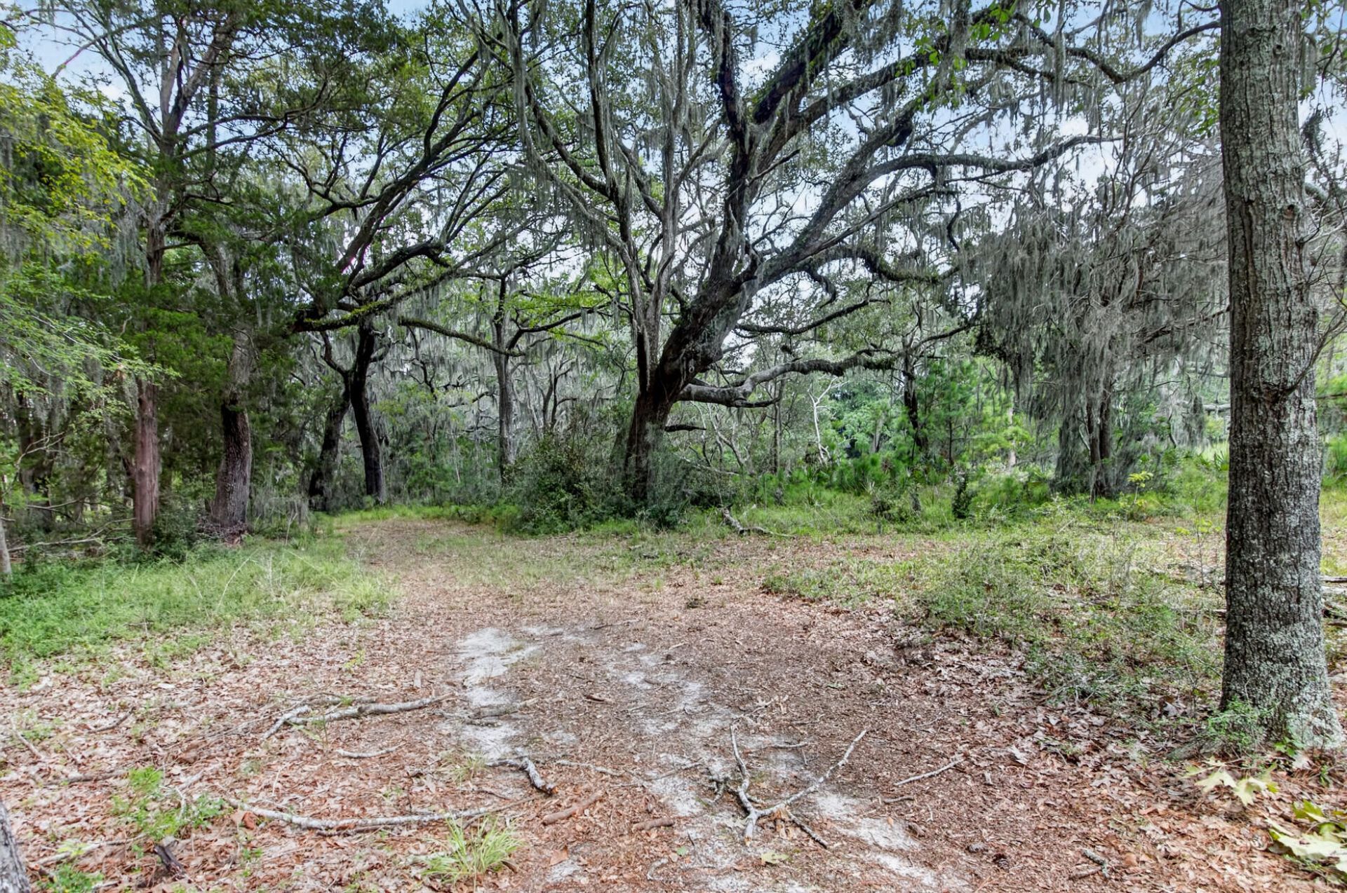 5751 Church Flats Road Photo 33