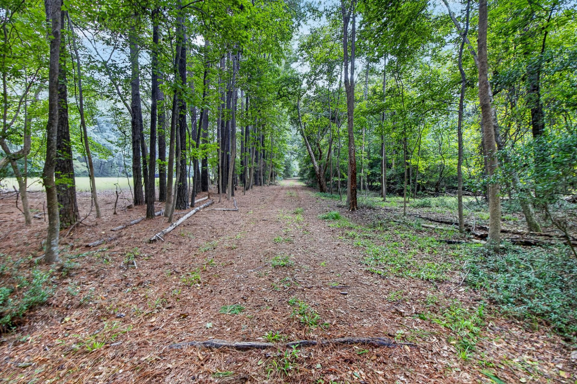 5751 Church Flats Road Photo 38