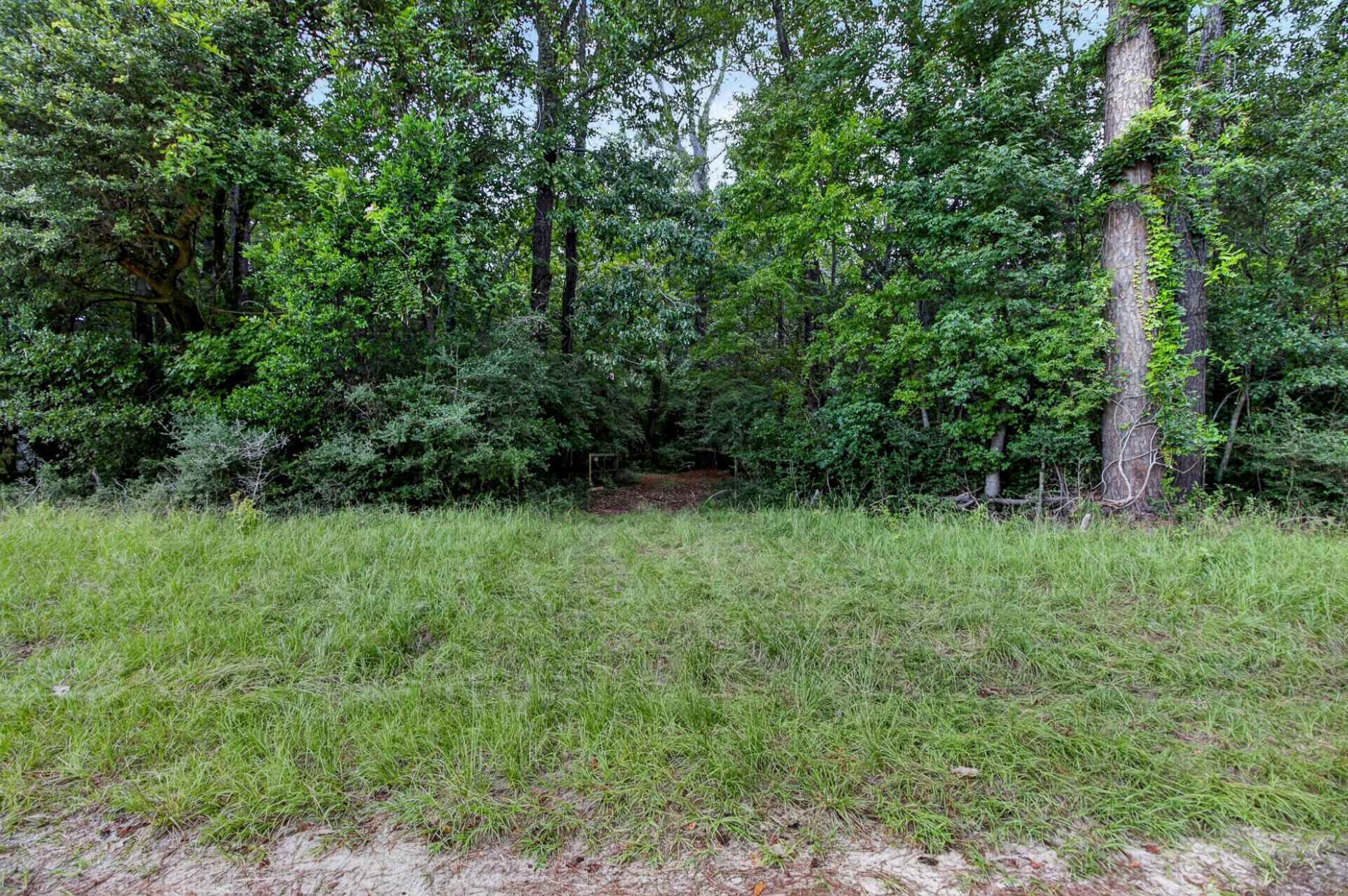 5751 Church Flats Road Photo 39