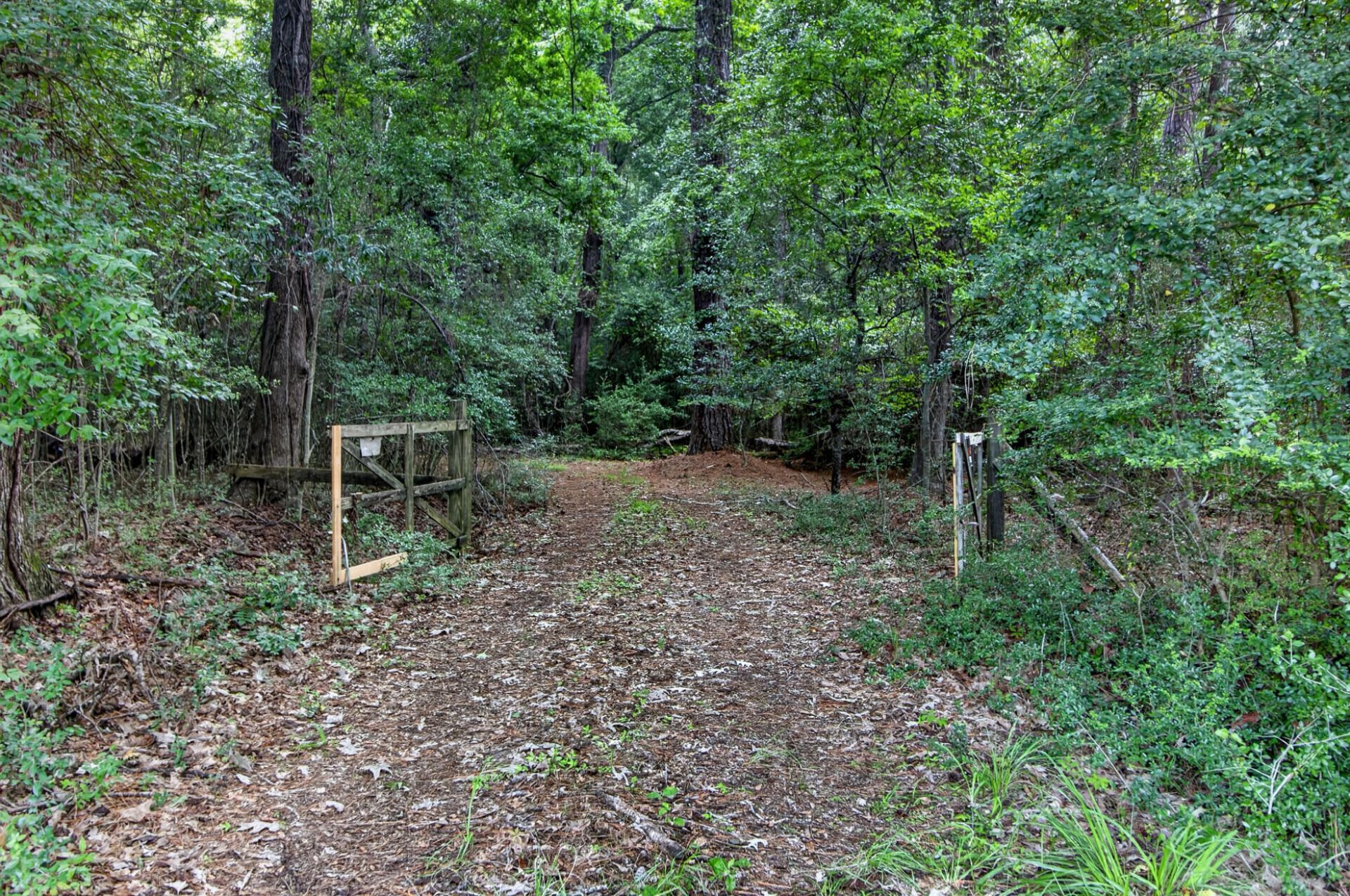 5751 Church Flats Road Photo 40