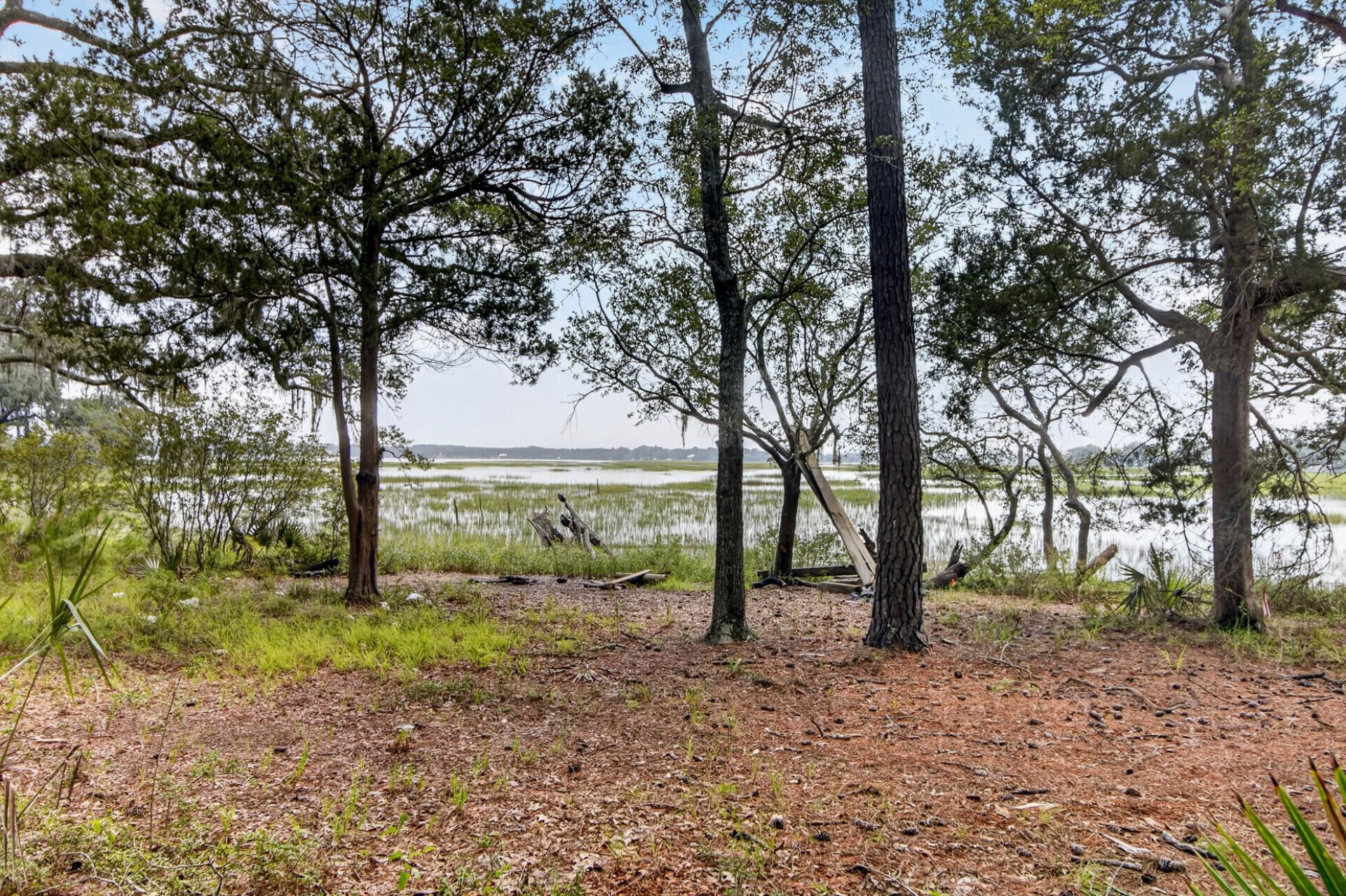 5751 Church Flats Road Photo 8