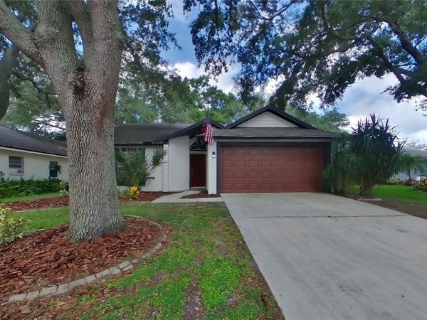 LUTZ, FL 33559
