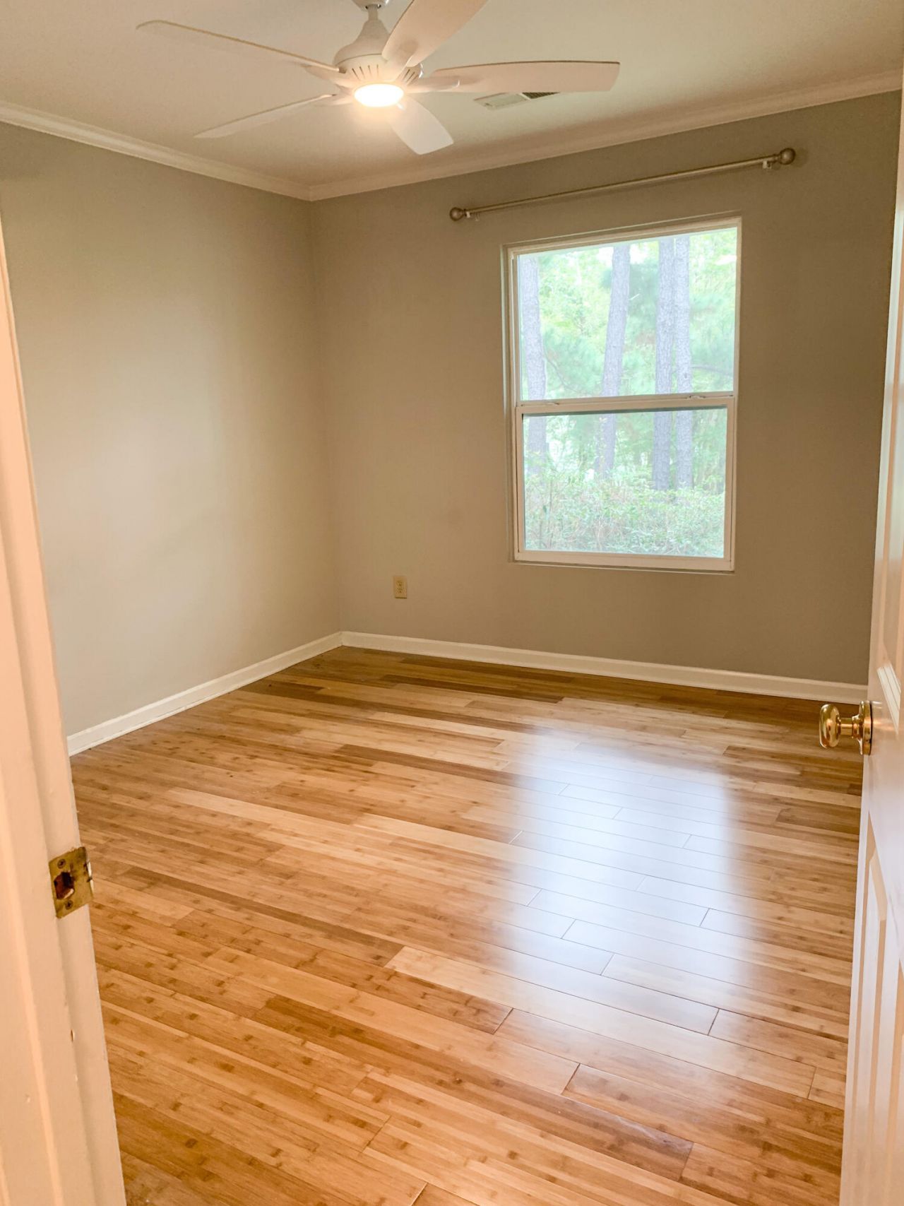 333 W Coleman Boulevard Photo 16