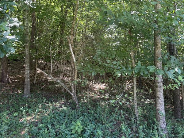 00 Rock Hill Road, Newport, TN 37821