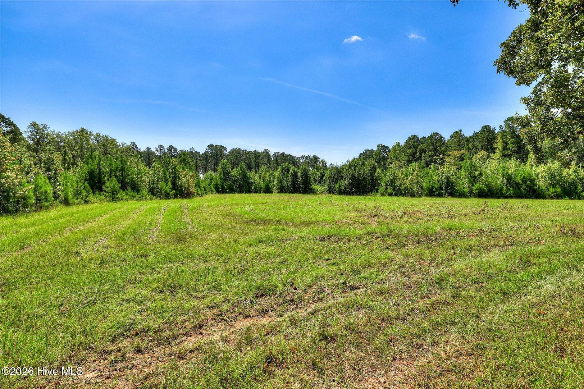 170 Landing Road Photo 13